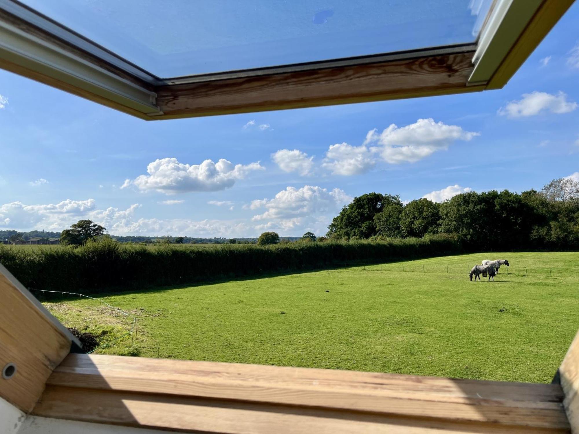 Stalbridge Priors Oak - A Cosy Studio With Countryside Views In Dorset المظهر الخارجي الصورة